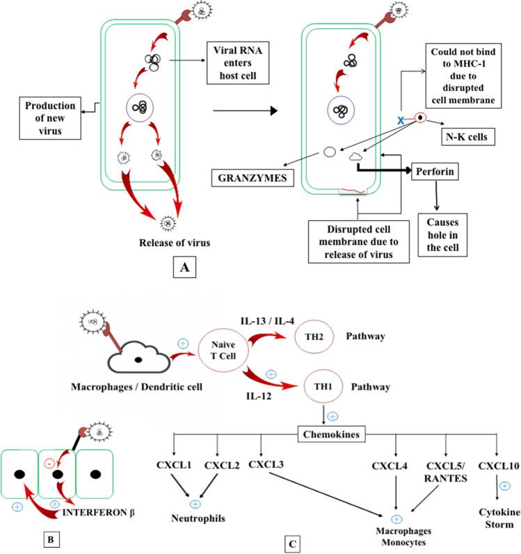 https://cdn.ncbi.nlm.nih.gov/pmc/blobs/1920/8630992/fe97b833ec73/11356_2021_17824_Fig5_HTML.jpg