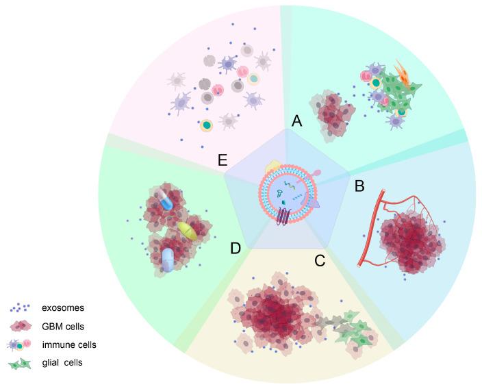 https://cdn.ncbi.nlm.nih.gov/pmc/blobs/1922/10887132/4403155668c4/cancers-16-00823-g002.jpg