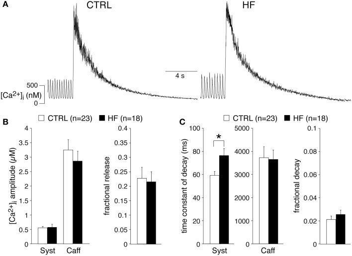 https://cdn.ncbi.nlm.nih.gov/pmc/blobs/1923/4313601/b20ae3774082/fphys-06-00018-g0003.jpg