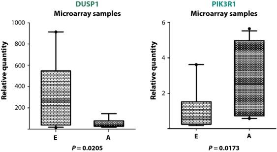 https://cdn.ncbi.nlm.nih.gov/pmc/blobs/1924/3892388/b9b7ed9886a3/cam40002-0836-f6.jpg