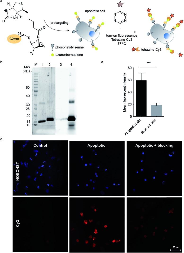 https://cdn.ncbi.nlm.nih.gov/pmc/blobs/1924/6482879/430d64ba9cd8/c9sc00125e-f5.jpg