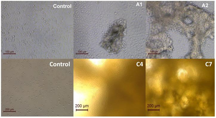 https://cdn.ncbi.nlm.nih.gov/pmc/blobs/1928/9919302/dda0abc231d4/polymers-15-00504-g012.jpg