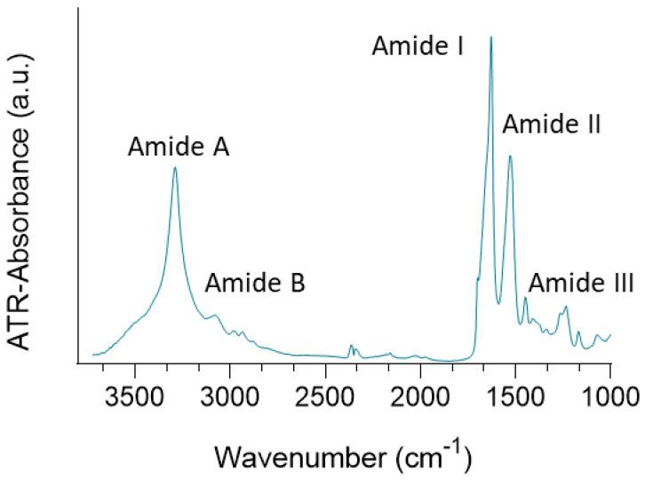https://cdn.ncbi.nlm.nih.gov/pmc/blobs/1928/9919302/e15a44dd71f6/polymers-15-00504-g003.jpg