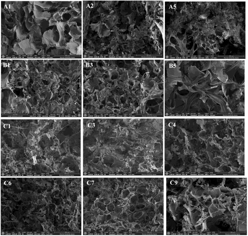 https://cdn.ncbi.nlm.nih.gov/pmc/blobs/1928/9919302/fadccfa672cb/polymers-15-00504-g006.jpg
