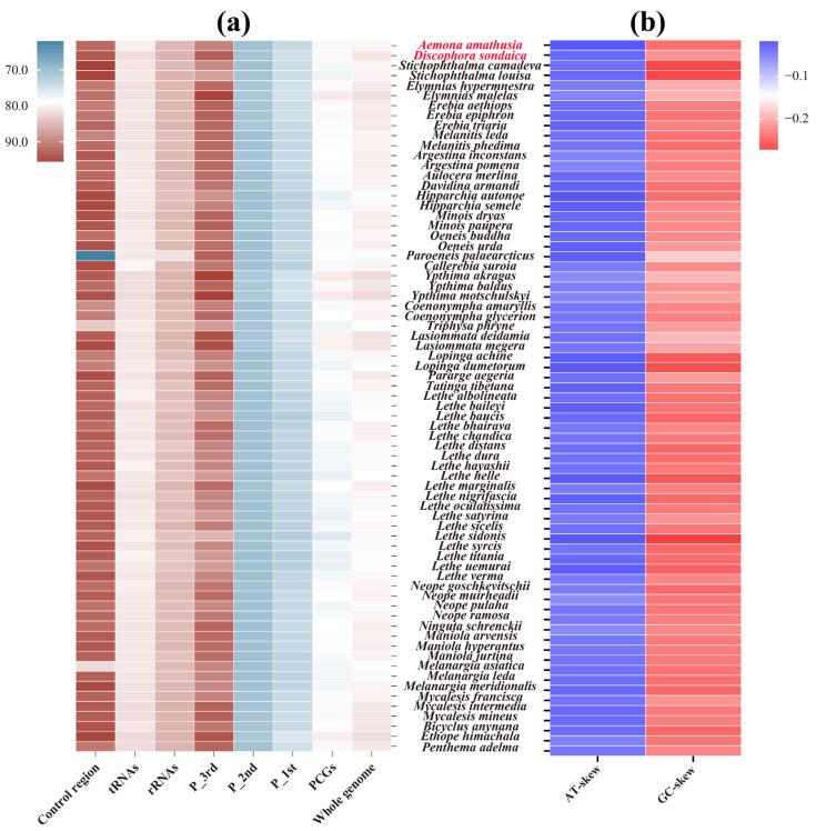 https://cdn.ncbi.nlm.nih.gov/pmc/blobs/1929/12026527/cc225383e681/genes-16-00447-g002.jpg