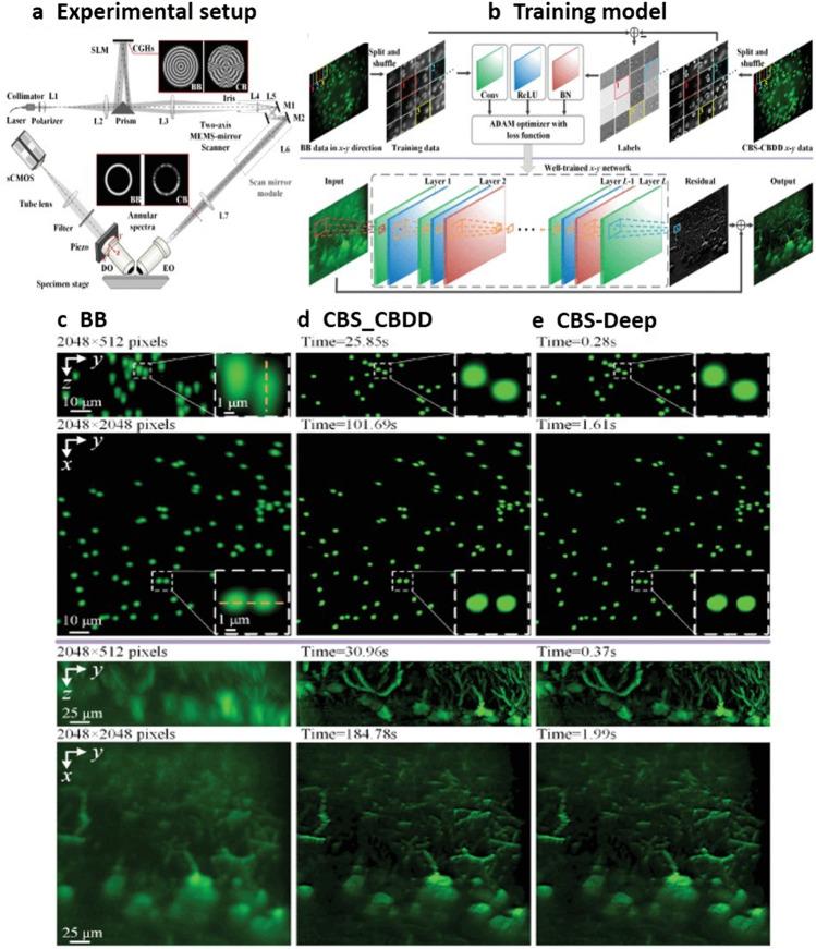 https://cdn.ncbi.nlm.nih.gov/pmc/blobs/1929/9043085/684f5a82c6c3/12551_2022_949_Fig5_HTML.jpg
