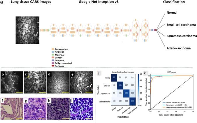 https://cdn.ncbi.nlm.nih.gov/pmc/blobs/1929/9043085/90e07a07b83a/12551_2022_949_Fig7_HTML.jpg