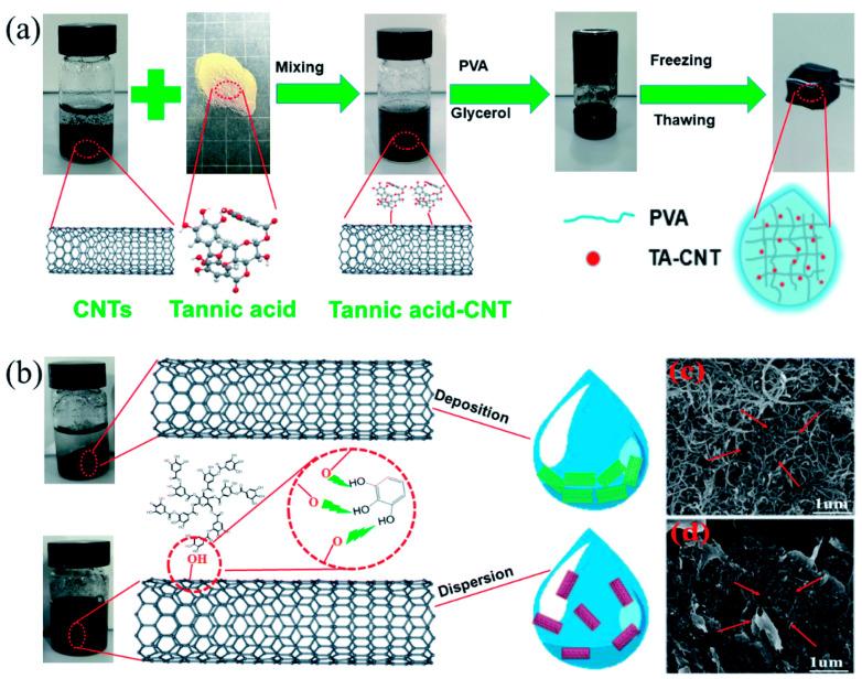 https://cdn.ncbi.nlm.nih.gov/pmc/blobs/192a/10887588/329d6f883b18/gels-10-00144-g003.jpg
