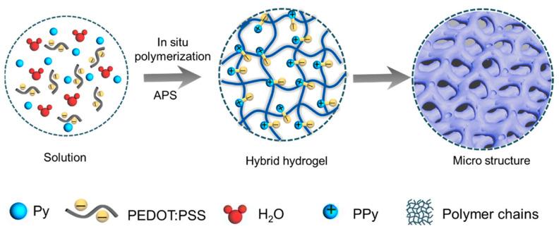 https://cdn.ncbi.nlm.nih.gov/pmc/blobs/192a/10887588/71a3e49426b8/gels-10-00144-g005.jpg