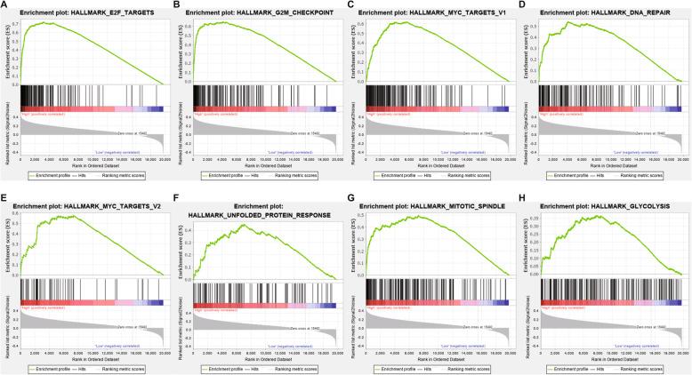 https://cdn.ncbi.nlm.nih.gov/pmc/blobs/192b/8556945/64e51fb3e32c/12885_2021_8827_Fig6_HTML.jpg