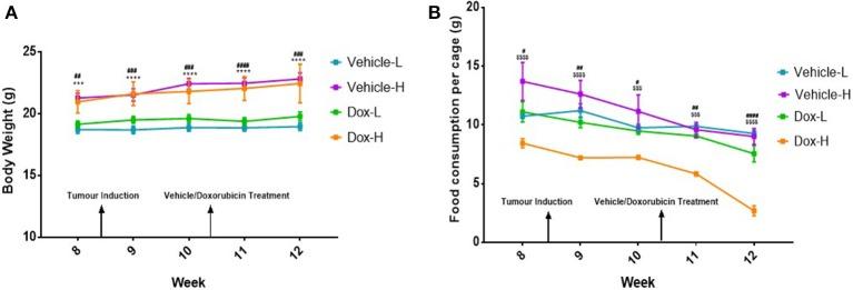 https://cdn.ncbi.nlm.nih.gov/pmc/blobs/192d/7089940/8328d5685fb8/fonc-10-00306-g0003.jpg