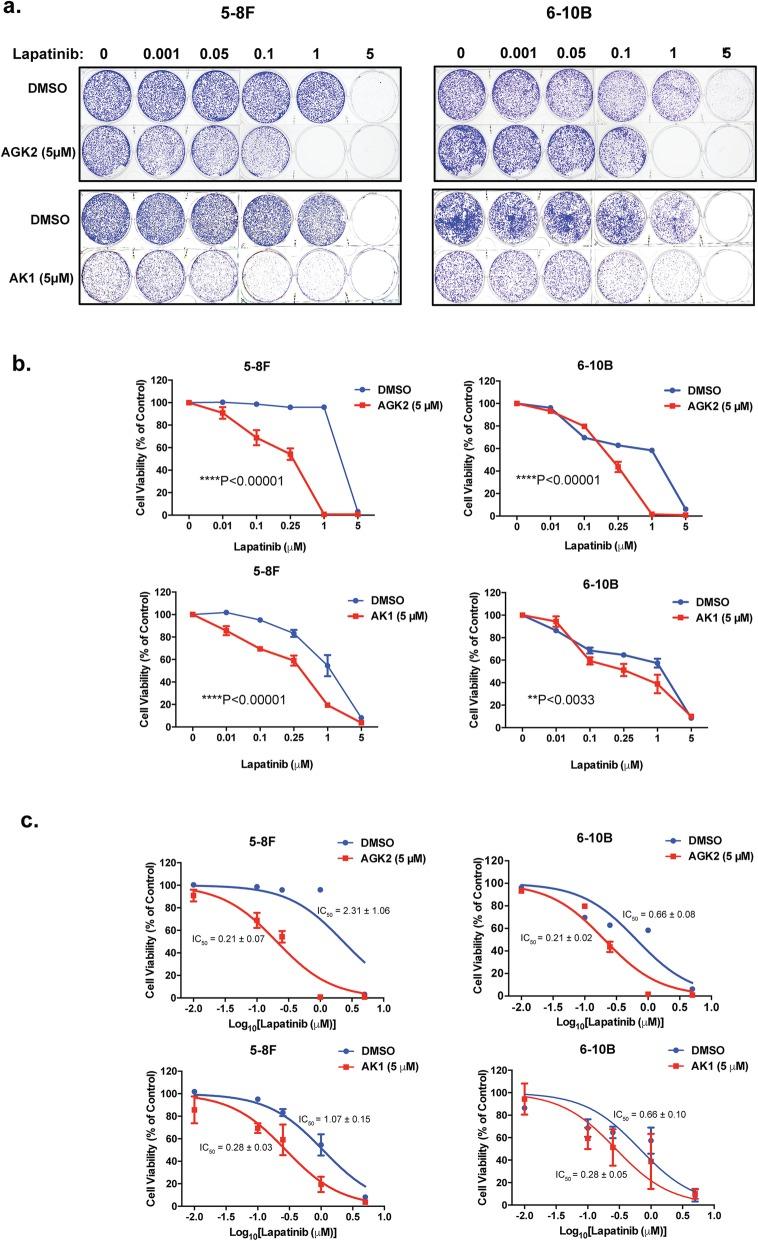 https://cdn.ncbi.nlm.nih.gov/pmc/blobs/192e/6854897/08c7a078a31a/12885_2019_6308_Fig6_HTML.jpg