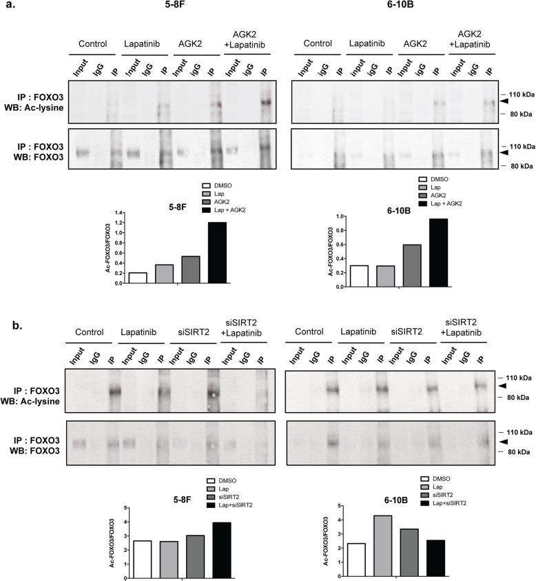 https://cdn.ncbi.nlm.nih.gov/pmc/blobs/192e/6854897/5e8e6024cd6a/12885_2019_6308_Fig8_HTML.jpg