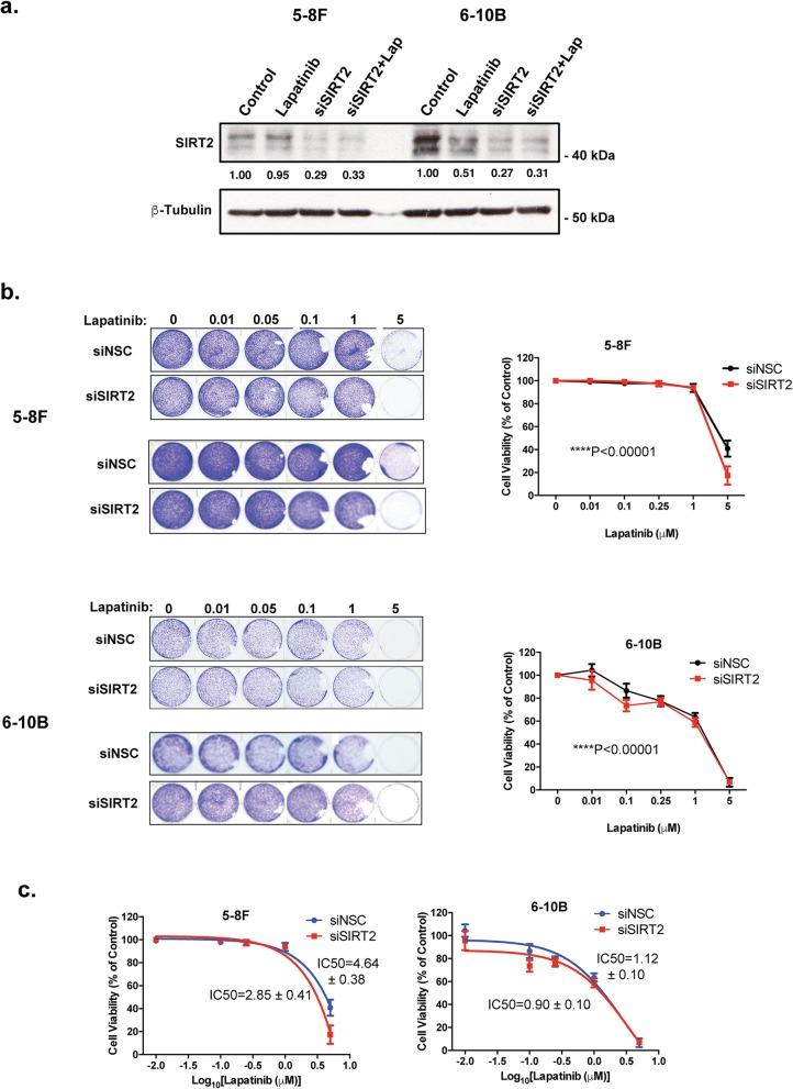 https://cdn.ncbi.nlm.nih.gov/pmc/blobs/192e/6854897/ab6255d70b78/12885_2019_6308_Fig7_HTML.jpg