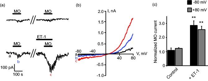 https://cdn.ncbi.nlm.nih.gov/pmc/blobs/192f/6537062/6f8798cbb5b3/10.1177_1744806919842473-fig2.jpg