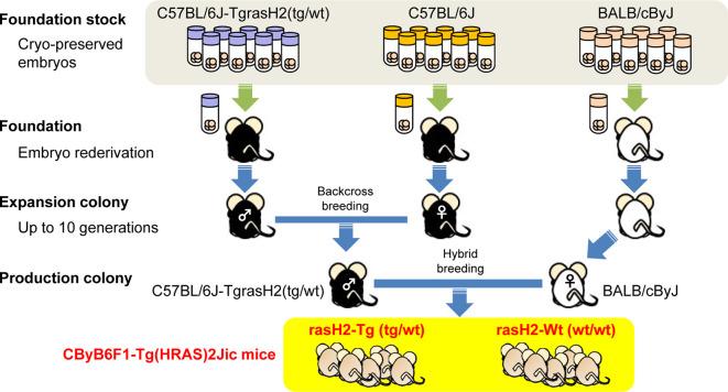 https://cdn.ncbi.nlm.nih.gov/pmc/blobs/1933/8828604/45b4c4fa995b/tox-35-019-g001.jpg