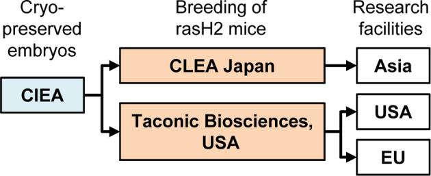 https://cdn.ncbi.nlm.nih.gov/pmc/blobs/1933/8828604/aa401284f2f2/tox-35-019-g002.jpg