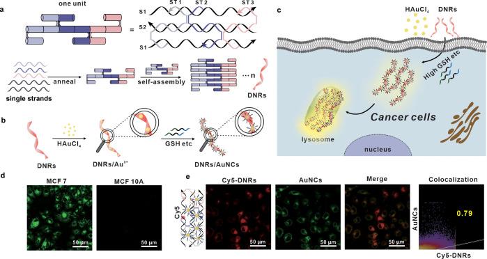 https://cdn.ncbi.nlm.nih.gov/pmc/blobs/1936/10523492/a4a3534eb309/au3c00365_0001.jpg