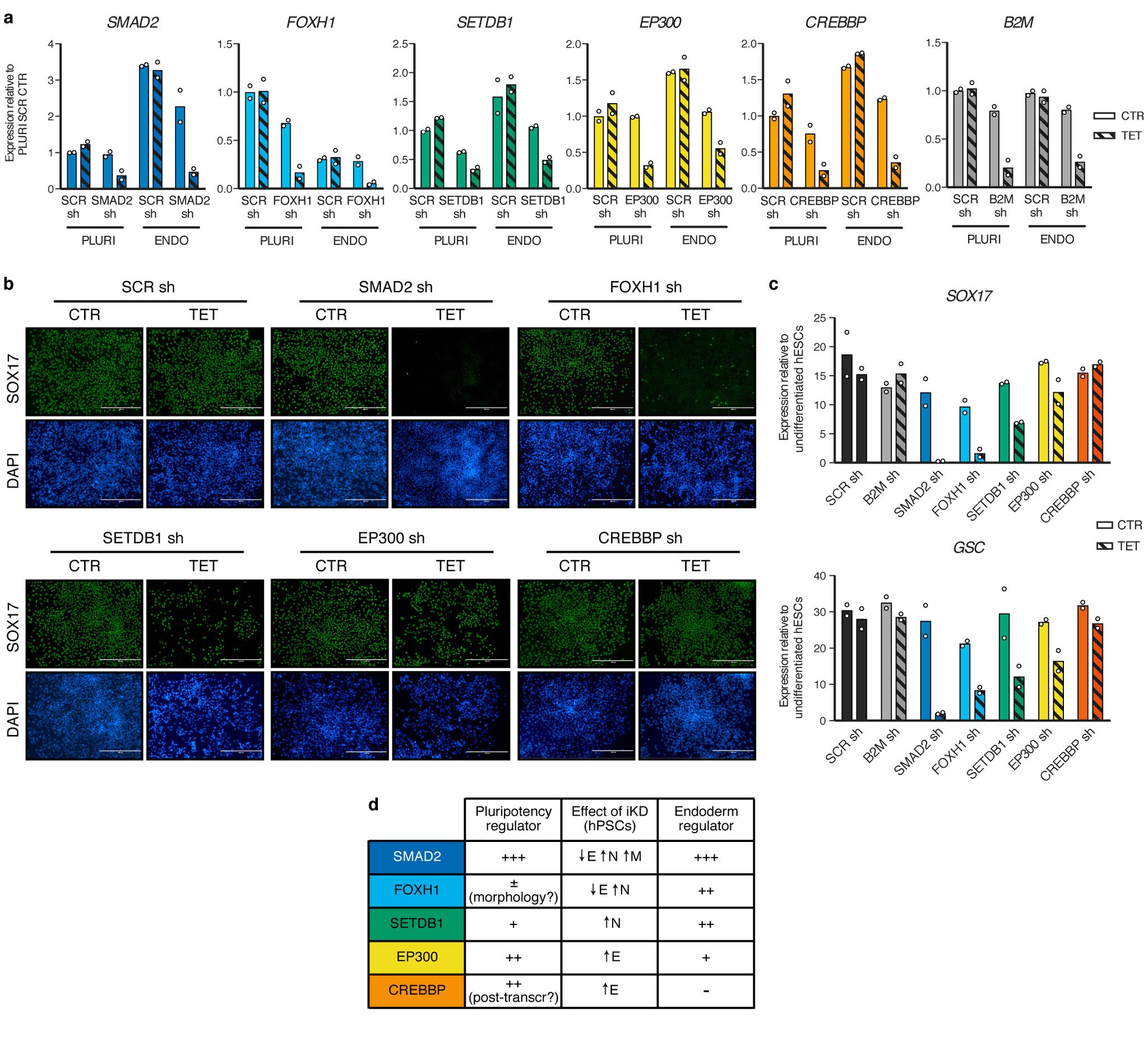 https://cdn.ncbi.nlm.nih.gov/pmc/blobs/1936/5951268/5f8fc4034613/emss-75858-f006.jpg