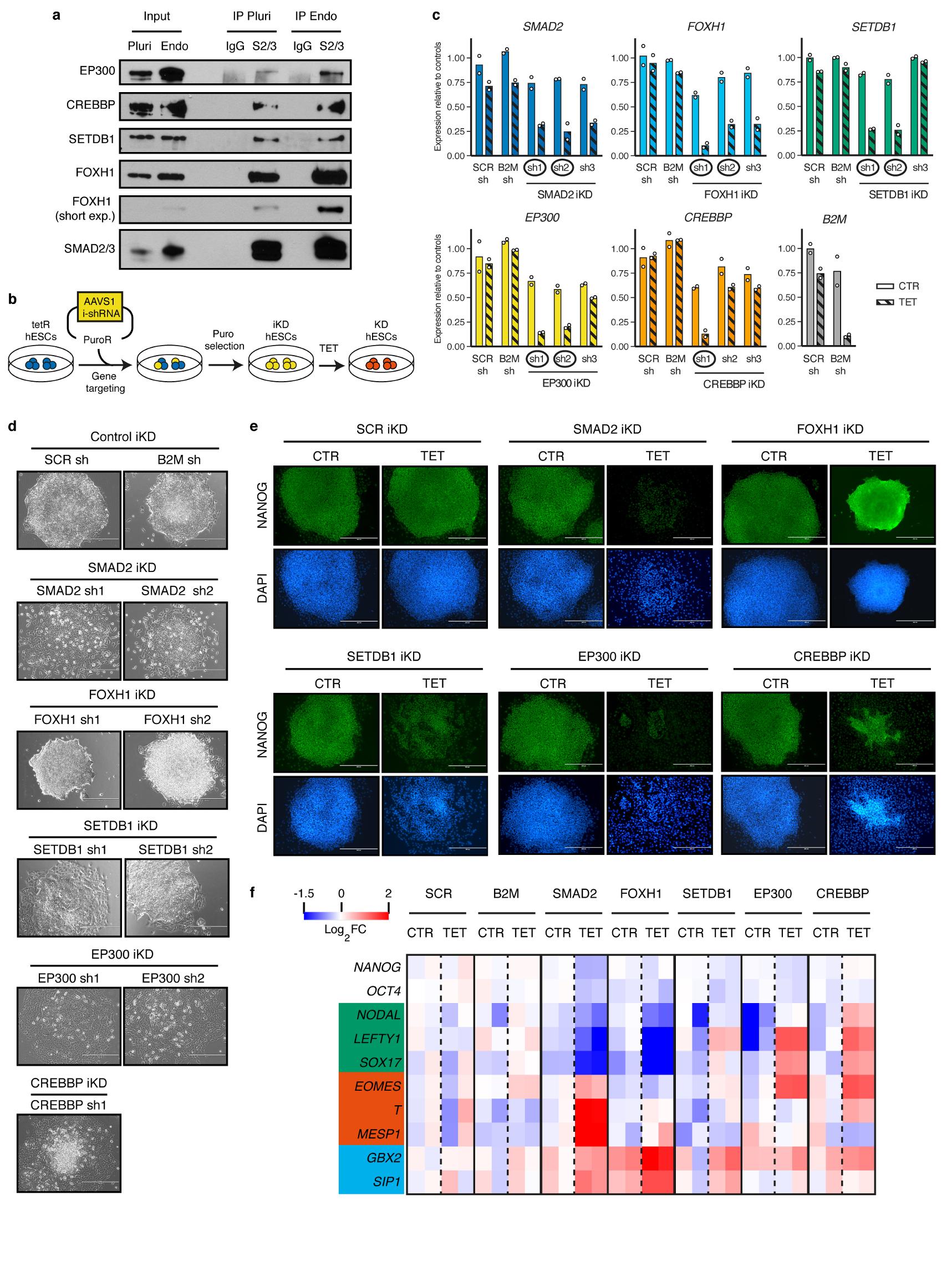 https://cdn.ncbi.nlm.nih.gov/pmc/blobs/1936/5951268/66b488e499df/emss-75858-f005.jpg