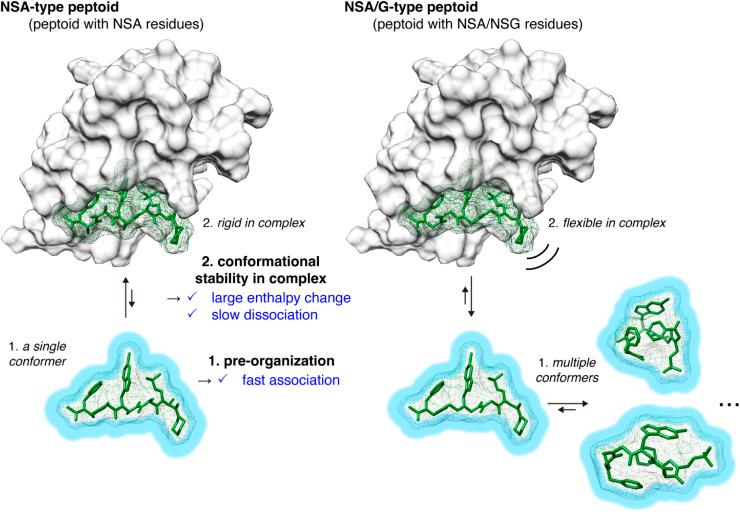 https://cdn.ncbi.nlm.nih.gov/pmc/blobs/1938/11095393/7be7d2d4b068/d4sc01540a-f4.jpg