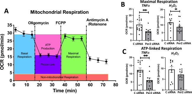 https://cdn.ncbi.nlm.nih.gov/pmc/blobs/193a/10788343/7c9e3d474721/41598_2024_51799_Fig5_HTML.jpg