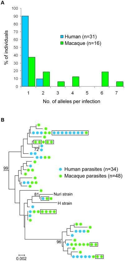 https://cdn.ncbi.nlm.nih.gov/pmc/blobs/193c/3072369/c7a2eb025949/ppat.1002015.g001.jpg
