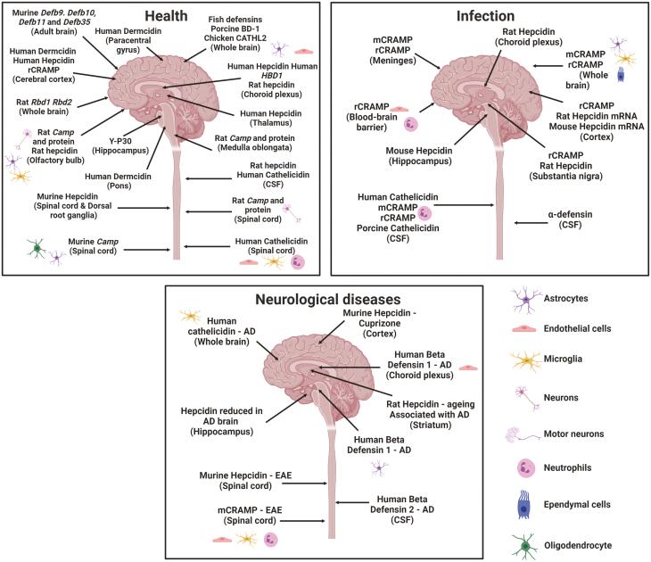 https://cdn.ncbi.nlm.nih.gov/pmc/blobs/193d/10917193/54bddb7248d0/kyac003_fig2.jpg