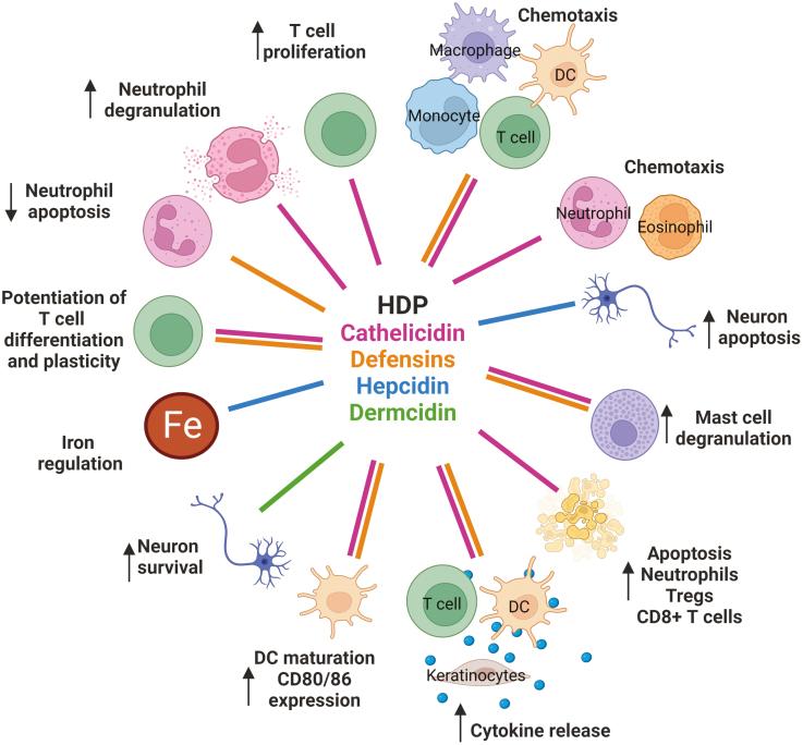 https://cdn.ncbi.nlm.nih.gov/pmc/blobs/193d/10917193/8be20ba35a83/kyac003_fig1.jpg