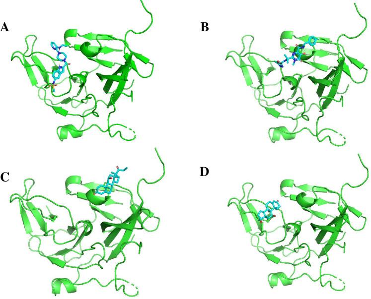 https://cdn.ncbi.nlm.nih.gov/pmc/blobs/193e/12241036/242ef59d3d5c/fphar-16-1605722-g011.jpg