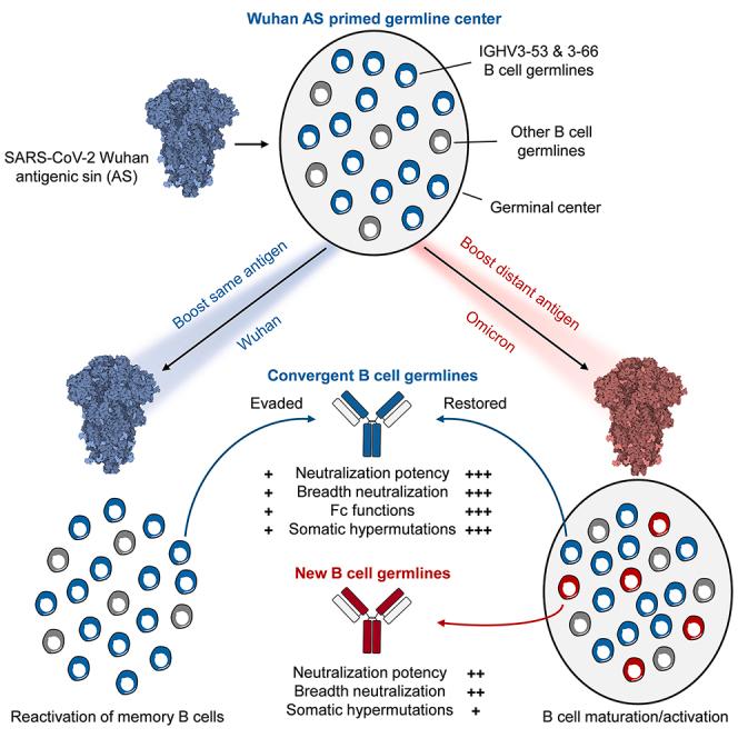 https://cdn.ncbi.nlm.nih.gov/pmc/blobs/1940/11422482/24035a5637ef/fx1.jpg