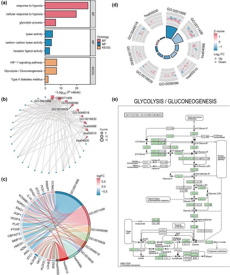 https://cdn.ncbi.nlm.nih.gov/pmc/blobs/1940/12452079/7191bd3f9d2e/j_med-2025-1247-fig006.jpg