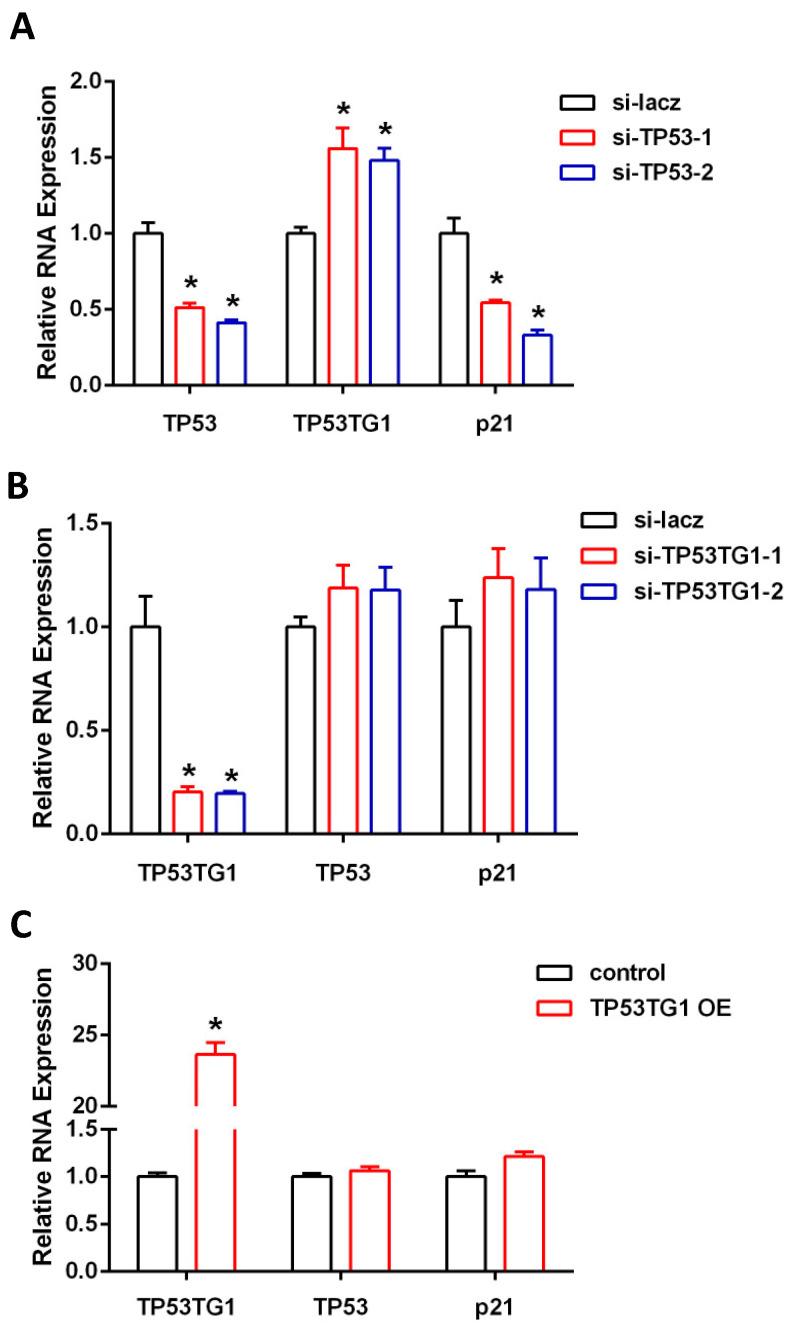 https://cdn.ncbi.nlm.nih.gov/pmc/blobs/1942/8482154/9fe53879fd29/ncrna-07-00052-g001.jpg