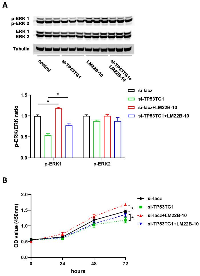 https://cdn.ncbi.nlm.nih.gov/pmc/blobs/1942/8482154/ba1728d2fe89/ncrna-07-00052-g005.jpg
