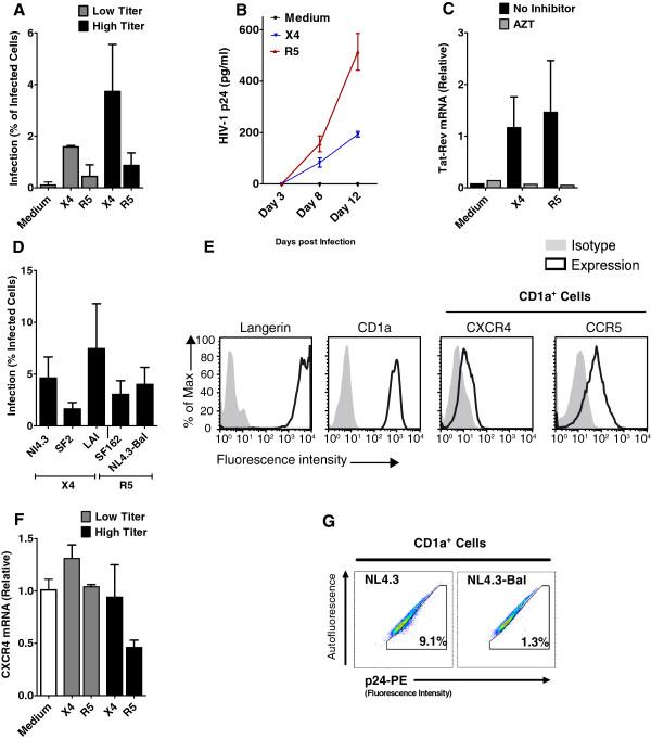 https://cdn.ncbi.nlm.nih.gov/pmc/blobs/1943/4227116/049e855a01ca/1742-4690-11-52-2.jpg