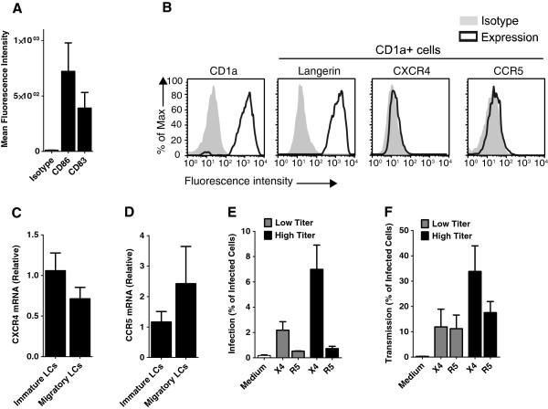 https://cdn.ncbi.nlm.nih.gov/pmc/blobs/1943/4227116/cb69e2ef41d6/1742-4690-11-52-3.jpg