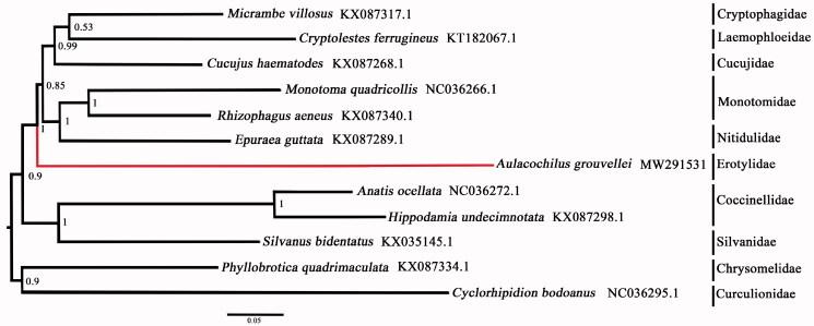 https://cdn.ncbi.nlm.nih.gov/pmc/blobs/1944/7995832/9d68329f5cc4/TMDN_A_1901623_F0001_C.jpg