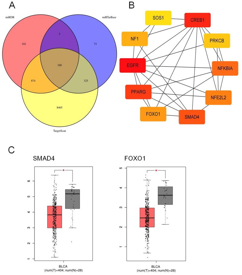 https://cdn.ncbi.nlm.nih.gov/pmc/blobs/1948/9980012/6b79390f3a8e/IANN_A_2172206_F0004_C.jpg