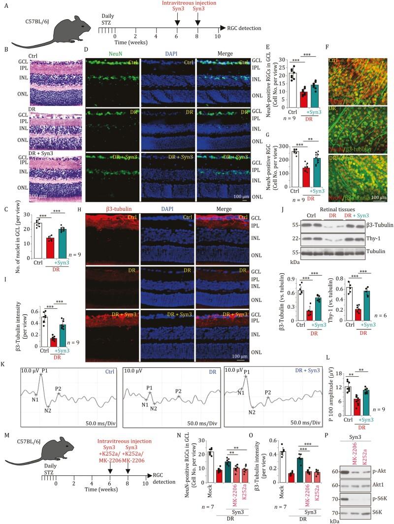 https://cdn.ncbi.nlm.nih.gov/pmc/blobs/1949/11528515/e29099b654a1/pwae028_fig2.jpg