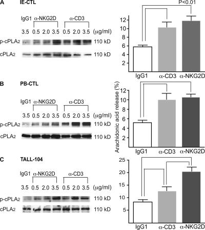 https://cdn.ncbi.nlm.nih.gov/pmc/blobs/194b/2699120/6283cdc6b8a9/JEM_20071887_GS_Fig3.jpg