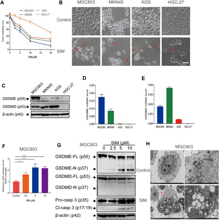https://cdn.ncbi.nlm.nih.gov/pmc/blobs/194c/9065610/7900a9e7fa18/fphar-13-860546-g001.jpg