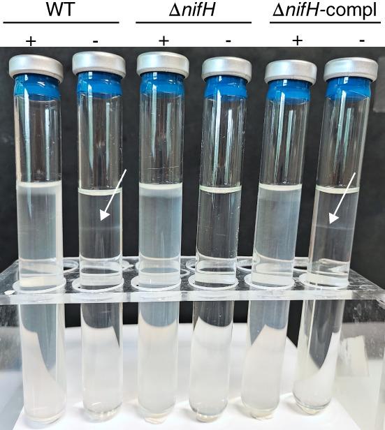 https://cdn.ncbi.nlm.nih.gov/pmc/blobs/194d/10099842/a98674b41c01/EMI-24-6510-g004.jpg