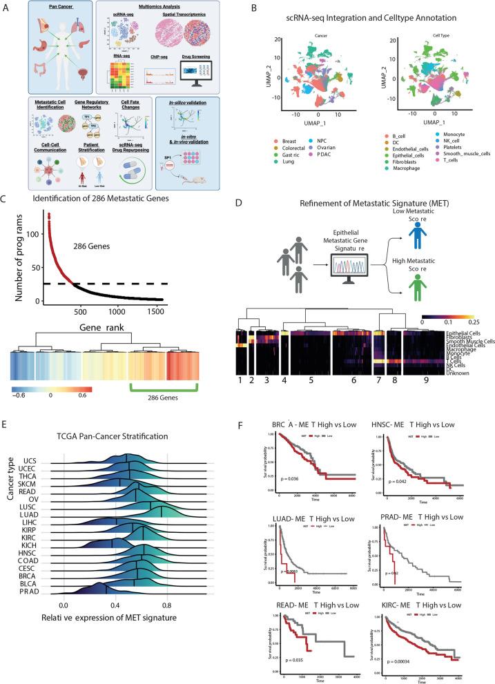 https://cdn.ncbi.nlm.nih.gov/pmc/blobs/194f/11697158/375fd6779c61/12943_2024_2182_Fig1_HTML.jpg