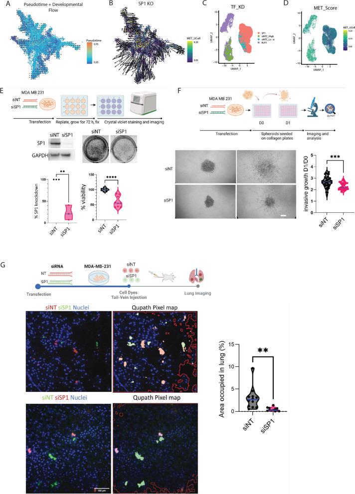 https://cdn.ncbi.nlm.nih.gov/pmc/blobs/194f/11697158/81ac449ccc9b/12943_2024_2182_Fig8_HTML.jpg