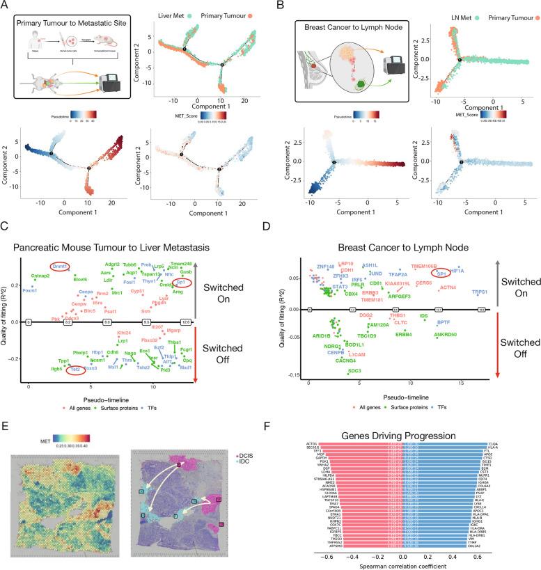 https://cdn.ncbi.nlm.nih.gov/pmc/blobs/194f/11697158/97614e94707b/12943_2024_2182_Fig4_HTML.jpg