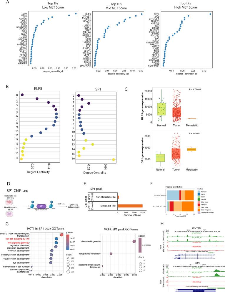 https://cdn.ncbi.nlm.nih.gov/pmc/blobs/194f/11697158/b2bffb867a6e/12943_2024_2182_Fig7_HTML.jpg