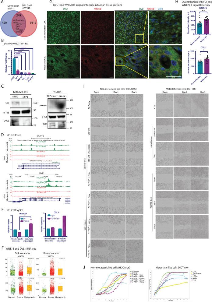 https://cdn.ncbi.nlm.nih.gov/pmc/blobs/194f/11697158/f2cf1549a160/12943_2024_2182_Fig9_HTML.jpg