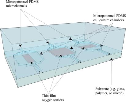 https://cdn.ncbi.nlm.nih.gov/pmc/blobs/194f/3230974/ad72a154fd39/sensors-10-09286f5.jpg