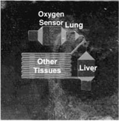 https://cdn.ncbi.nlm.nih.gov/pmc/blobs/194f/3230974/c56f79bee314/sensors-10-09286f6.jpg