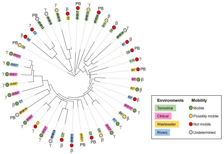 https://cdn.ncbi.nlm.nih.gov/pmc/blobs/194f/9774602/a5d150dc68ab/antibiotics-11-01768-g003.jpg